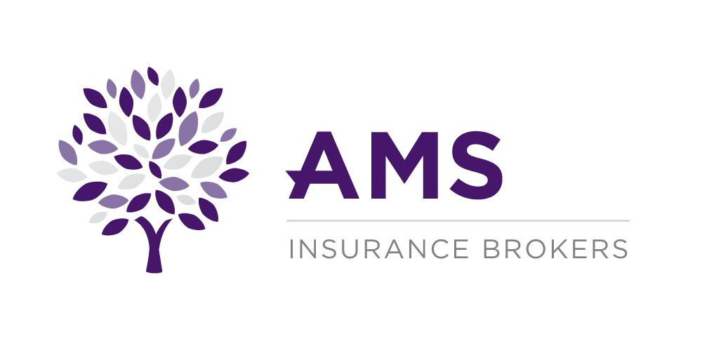 AMS Logo MED